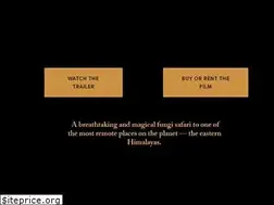 Sites similar to planetfungi.movie