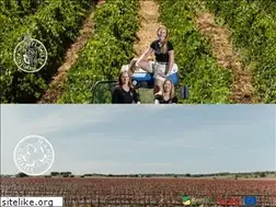 Sites similar to plansel.com