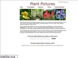 Sites similar to plant-pictures.net