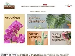 Sites similar to plantaflor.es