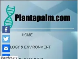 Sites similar to plantapalm.com