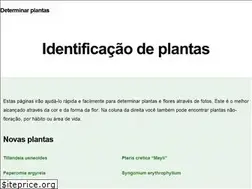 Sites similar to plantasflores.net