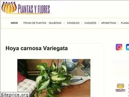 Sites similar to plantayflor.blogspot.com