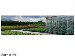 Sites similar to plantaz.nl