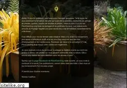 Sites similar to plantcatching.com