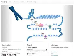 Sites similar to plantdhs.org