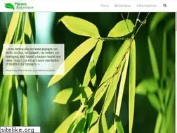 Sites similar to plantes-botanique.org