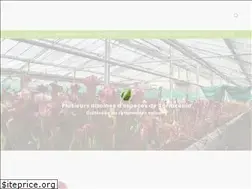 Sites similar to plantes-carnivores.com