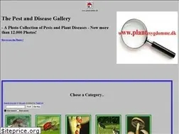 Sites similar to plantesygdomme.dk