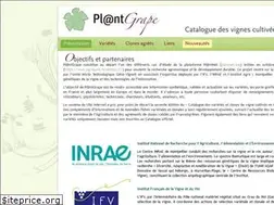 Sites similar to plantgrape.plantnet-project.org