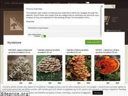 Sites similar to planto.eu