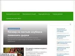 Sites similar to plantophilia.ru