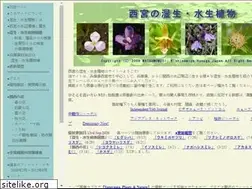 Sites similar to plants.minibird.jp