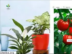 Sites similar to plantstore.pk