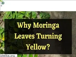 Sites similar to plantworksnyc.com