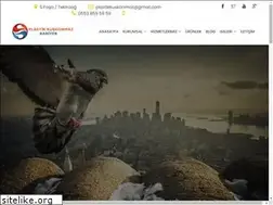 Sites similar to plastikkuskonmaz.com
