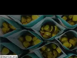 Sites similar to platepantry.com