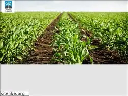 Sites similar to plavise.cat