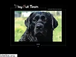Sites similar to playfullteam.com