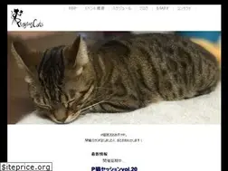 Sites similar to playingcats.net