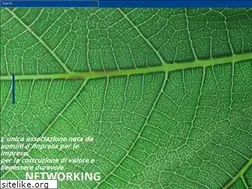 Sites similar to plef.org