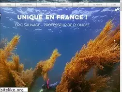 Sites similar to plongee-ericsauvage.com