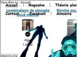 Sites similar to plongeur-dz.com