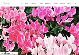 Sites similar to plugconnection.com