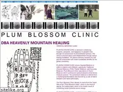 Sites similar to plumblossomclinic.org