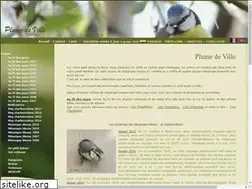 Sites similar to plume-de-ville.fr