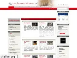 Sites similar to plytameblowa.pl