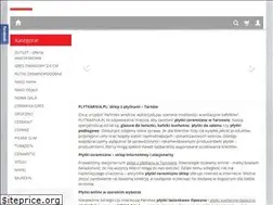 Sites similar to plytkarnia.pl