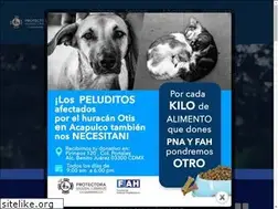Sites similar to pnamexico.com