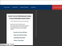 Sites similar to pneusbfgoodrich.com.br