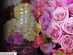 Sites similar to pochipochi.com