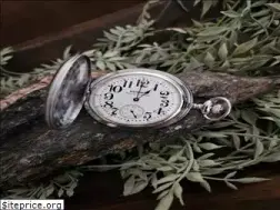 Sites similar to pocketwatchsite.com
