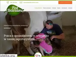 Sites similar to podbrzozami.com