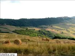 Sites similar to poderepalazzo.com
