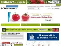Sites similar to podoslonami.pl
