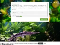 Sites similar to podwodnekrolestwo.pl