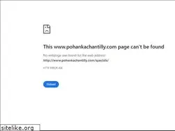 Sites similar to pohankaspecialschantilly.com