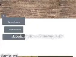 Sites similar to pointing-lab.com