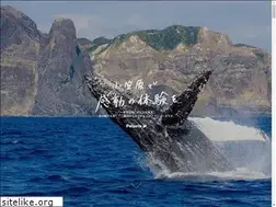Sites similar to polaris-ogasawara.com
