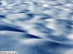 Sites similar to polarnet.ca