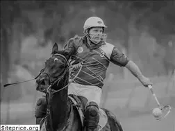 Sites similar to polocrossemadesimple.com