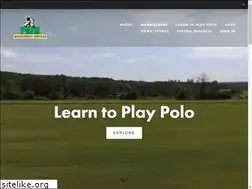 Sites similar to polomanagement.com