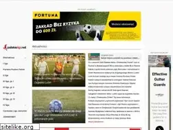 Sites similar to polskieligi.net