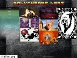 Sites similar to polychromelabs.com