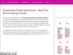 Sites similar to pomeranianhuskyhq.com
