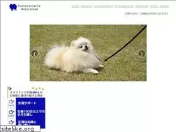 Sites similar to pomeranians-motocoland.jp